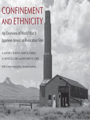 cover image of Confinement and Ethnicity